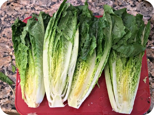 Romaine Lettuce