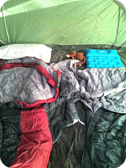 Backyard Camping Sleeping Bags