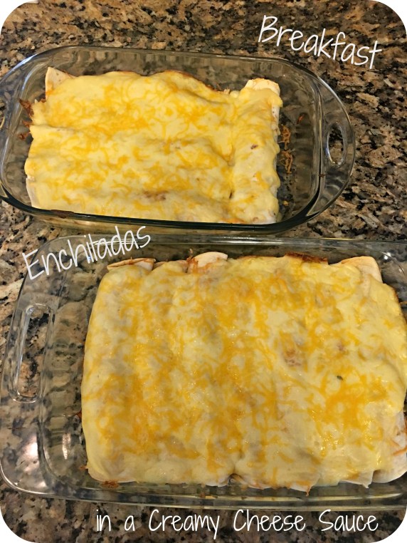 Breakfast Enchiladas